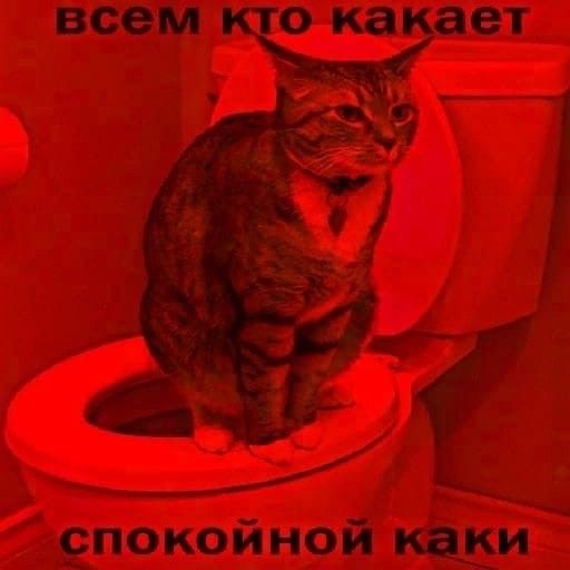 всем кто какает спокойной каки всем кто какает спокойной каки