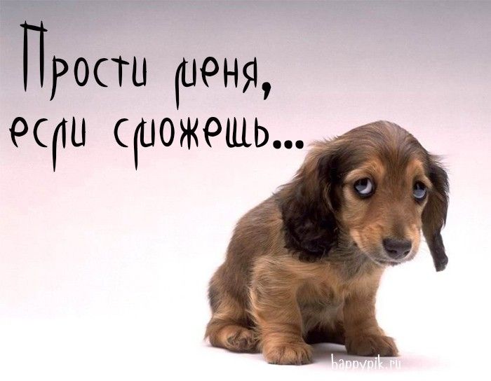 Картинки с надписью Прости – Извини меня – скачать Картинки с надписью Прости – Извини меня – скачать