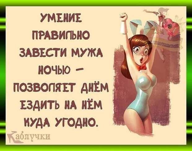 Каждый раз, когда девушка отказывает в свидании хорошему парню, где-то в мире рождается котёнок, который будет жить у неё после сорока – РЖАКА – Медиаплатформа МирТесен Каждый раз, когда девушка отказывает в свидании хорошему парню, где-то в мире рождается котёнок, который будет жить у неё после сорока – РЖАКА – Медиаплатформа МирТесен