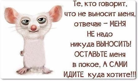 Открытка, фраза, меня не надо никуда выносить. Открытки Открытка, картинка, фразы, фраза, фразочка, фразочки, прикол, прикольная открытка, цитата, цитаты, слова о женщинах, позитив, позитивные открытки, прикольные картинки скачать бесплатно онлайн Открытка, фраза, меня не надо никуда выносить. Открытки Открытка, картинка, фразы, фраза, фразочка, фразочки, прикол, прикольная открытка, цитата, цитаты, слова о женщинах, позитив, позитивные открытки, прикольные картинки скачать бесплатно онлайн
