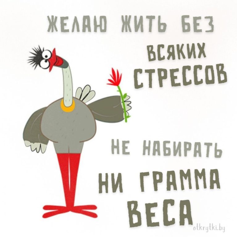 Веселые открытки со СМЕШНЫМИ пожеланиями и шутками Веселые открытки со СМЕШНЫМИ пожеланиями и шутками
