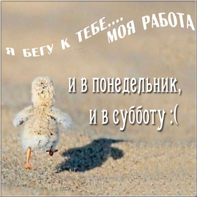 Прикольная открытка про рабочую субботу Прикольная открытка про рабочую субботу