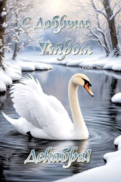 С ДОБРЫМ УТРОМ ДЕКАБРЯ! ❄❄🦢❄❄ С ДОБРЫМ УТРОМ ДЕКАБРЯ! ❄❄🦢❄❄