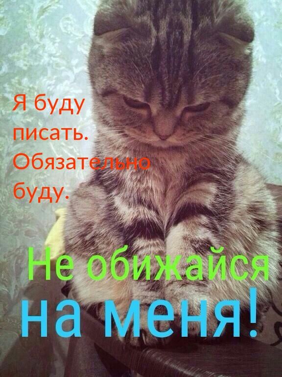 Скачать созданные картинки с надписями. Скачать созданные картинки с надписями.