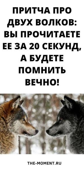 Притча про двух волков. Вы прочитаете ее за 20 секунд, а будете помнить вечно! Притча про двух волков. Вы прочитаете ее за 20 секунд, а будете помнить вечно!