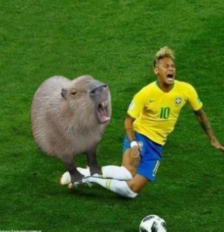 Capybara pic Capybara pic