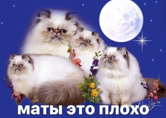 Мемы, приколы291 Мемы, приколы291