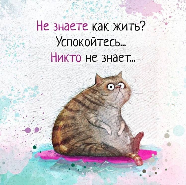 Не знаете как жить (открытка 549): Бесплатные картинки • Открытки Топ Не знаете как жить (открытка 549): Бесплатные картинки • Открытки Топ