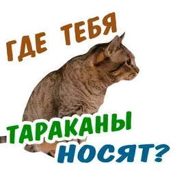 Набор стикеров для Telegram «Животные» Набор стикеров для Telegram «Животные»