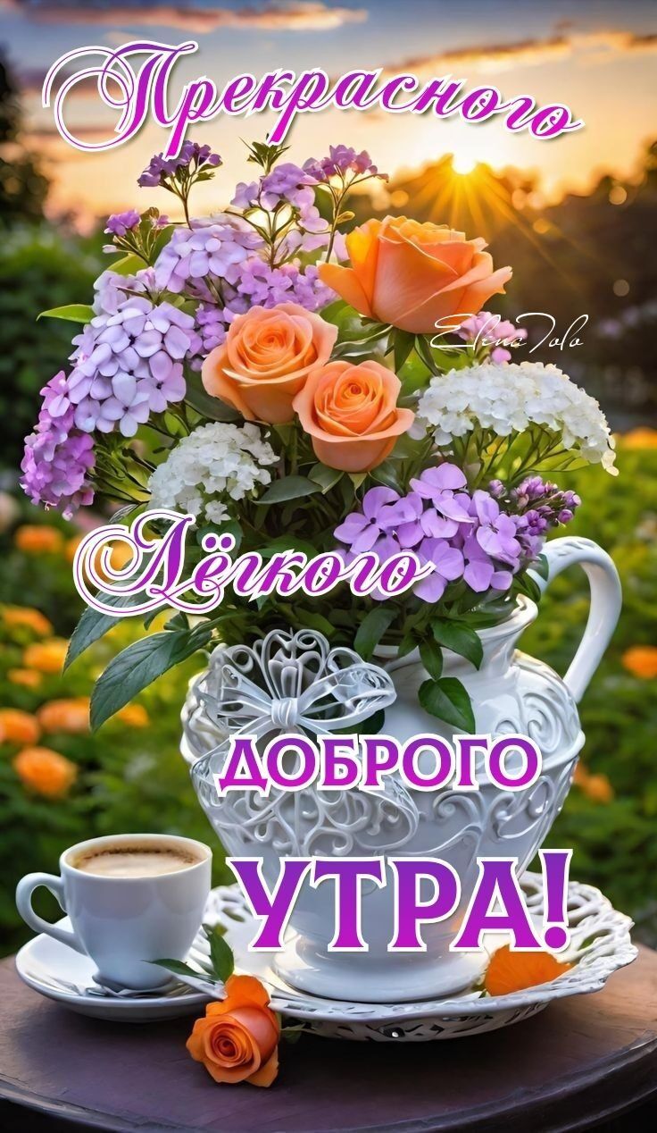 Прекрасного вам дня 🍀 Прекрасного вам дня 🍀