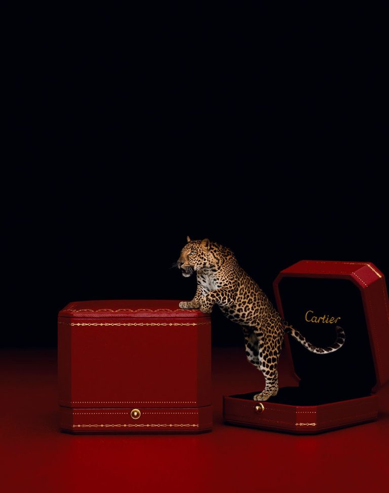 Cartier – Pascal Hirsch Cartier – Pascal Hirsch