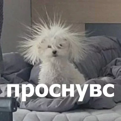 Набор стикеров для Telegram «Забавные животные 4» Набор стикеров для Telegram «Забавные животные 4»