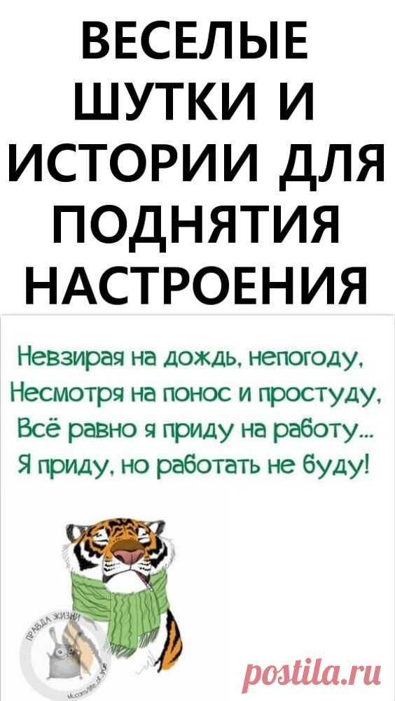 Юмор Юмор