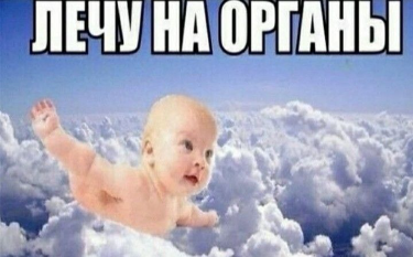 Лечу на органы мем Лечу на органы мем