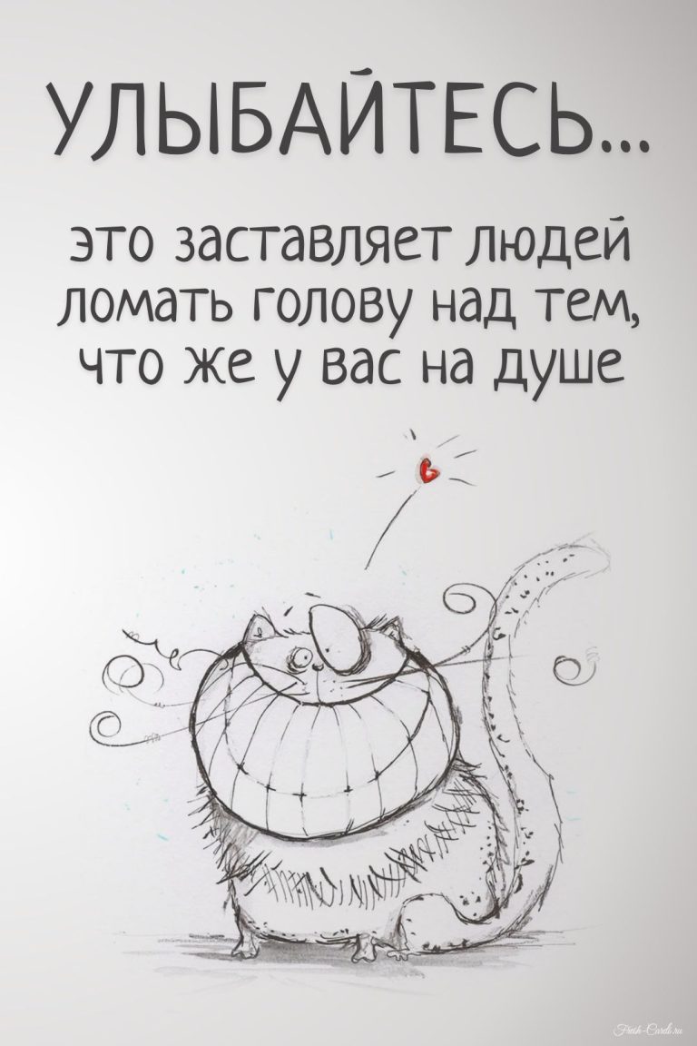 77 смешных открыток и прикольных картинок с юмором 77 смешных открыток и прикольных картинок с юмором