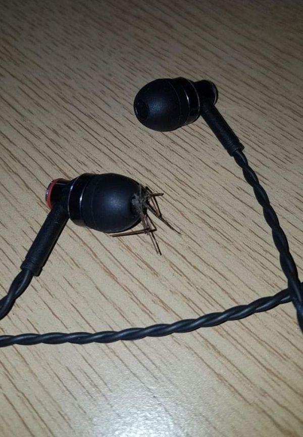 26 Pics Designed to Make You Suffer. 26 Pics Designed to Make You Suffer.