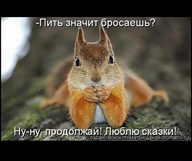 -Пить значит бросаешь? Люблю: котоматринунакоотаих ти – АйДаПрикол -Пить значит бросаешь? Люблю: котоматринунакоотаих ти – АйДаПрикол