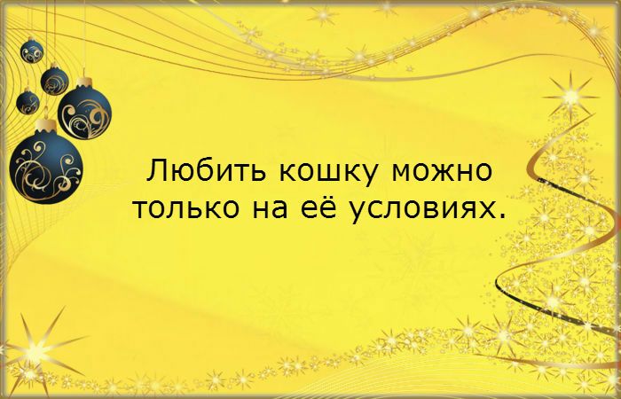 20 открыток с женскими мудростями, которые пригодятся и мужчинам 20 открыток с женскими мудростями, которые пригодятся и мужчинам