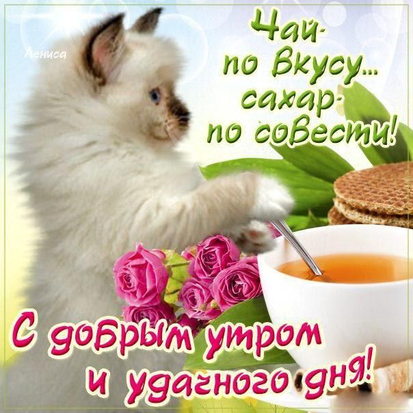 Нежные картинки “с добрым утром” (40 ФОТО) Нежные картинки “с добрым утром” (40 ФОТО)