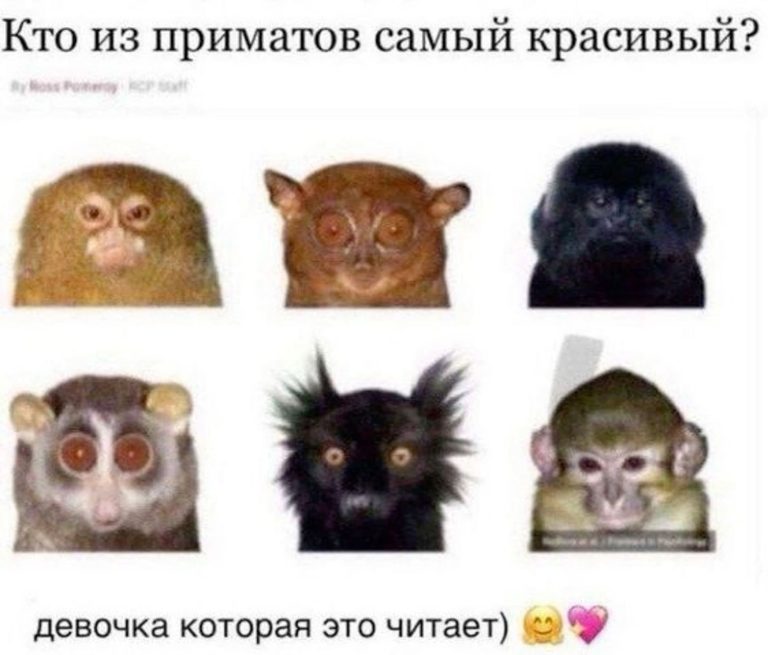 ТГК ВОКРУГ ЦВЕТЫ И БЛАГОУХАНИЕ ТГК ВОКРУГ ЦВЕТЫ И БЛАГОУХАНИЕ