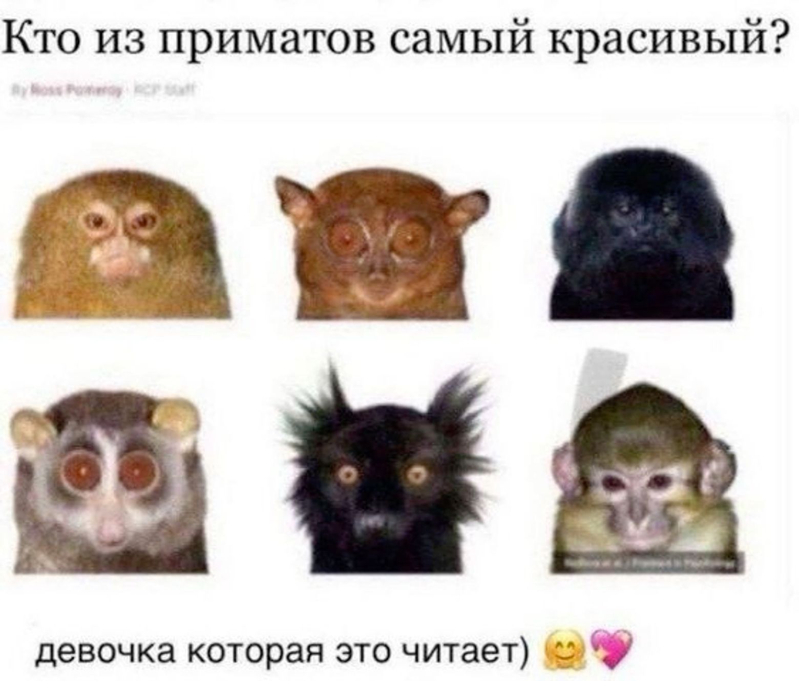 ТГК ВОКРУГ ЦВЕТЫ И БЛАГОУХАНИЕ ТГК ВОКРУГ ЦВЕТЫ И БЛАГОУХАНИЕ