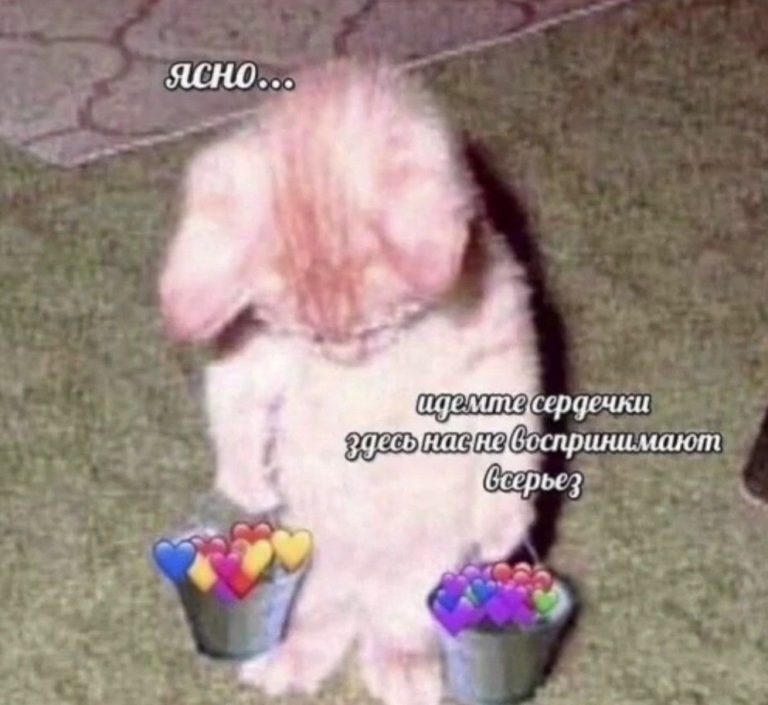 просто милая пикча просто милая пикча