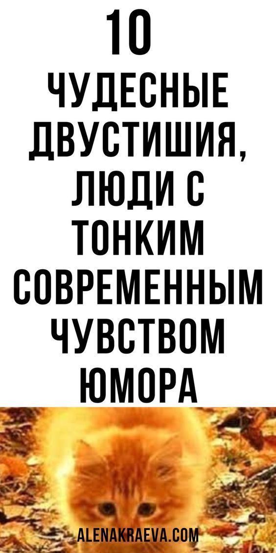 юмор очень смешно 248 юмор очень смешно 248