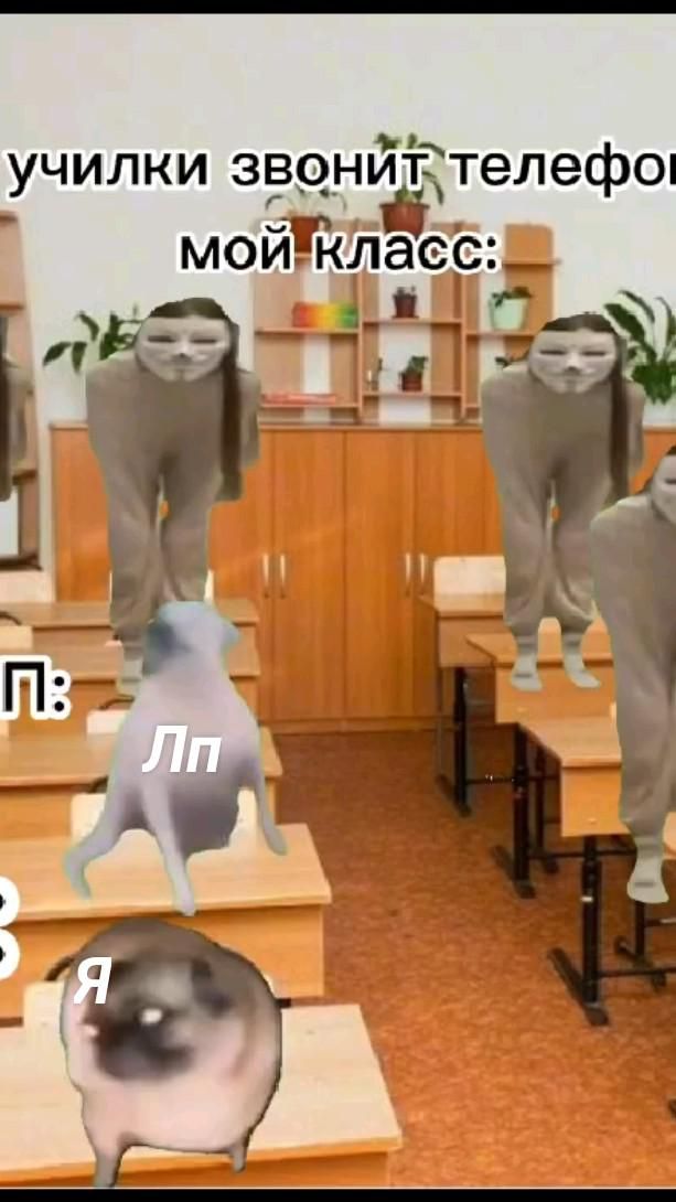 Я Лп Я Лп