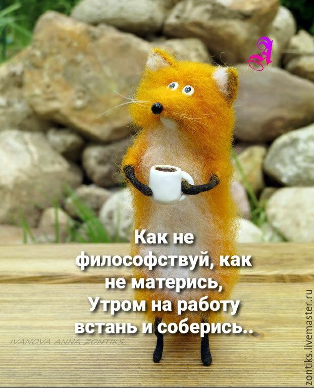 Доброе утро Доброе утро