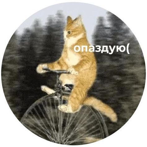 Набор стикеров для Telegram «Кусь» Набор стикеров для Telegram «Кусь»