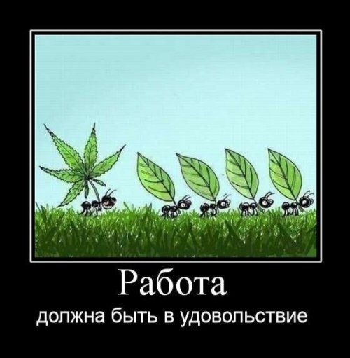 Прикольные картинки к 1 Мая (33 шт) Прикольные картинки к 1 Мая (33 шт)