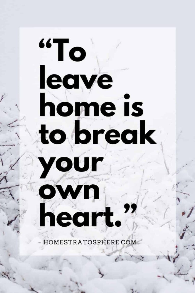 20 Heartfelt “Leaving Home” Quotes and Sayings 20 Heartfelt “Leaving Home” Quotes and Sayings