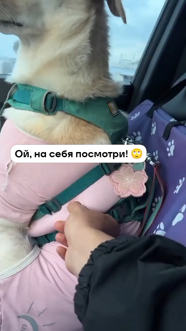 На себя посмори. На себя посмори.