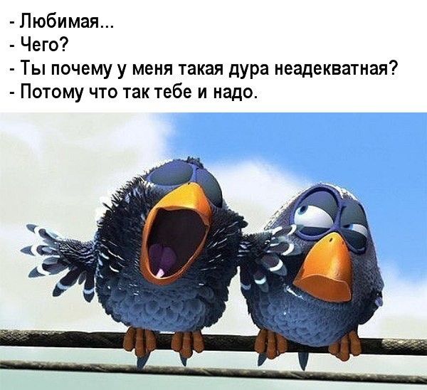 Настроение … | Группа на OK.ru | Вступай, читай, общайся в Одноклассниках! Настроение … | Группа на OK.ru | Вступай, читай, общайся в Одноклассниках!