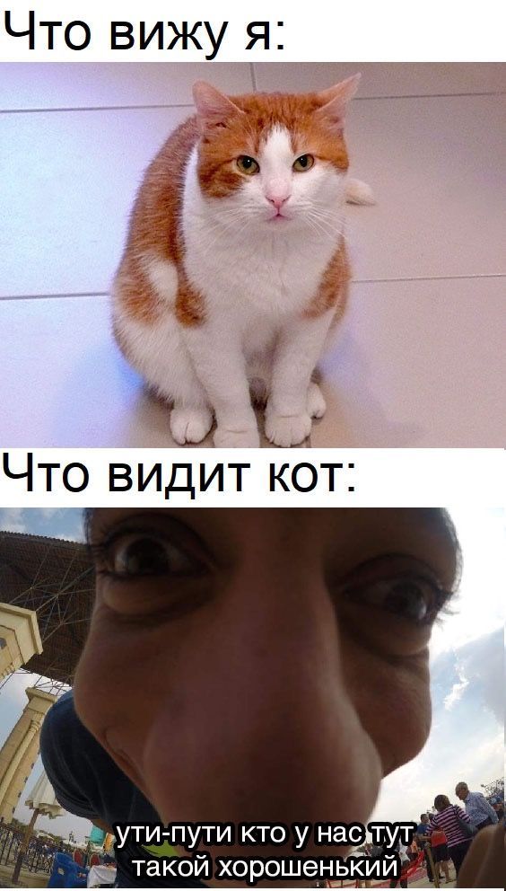 LOL! ))))) LOL! )))))