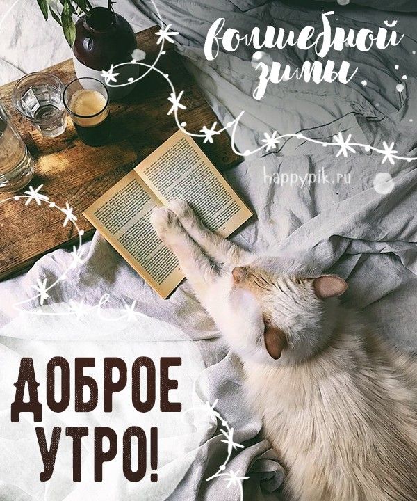❄️⛄😍 Картинки с добрым зимним утром – скачать ❄️⛄😍 Картинки с добрым зимним утром – скачать