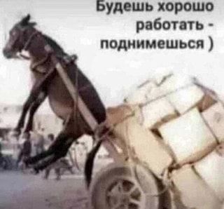 Будешь хорошо работать – поднимешься ) – АйДаПрикол Будешь хорошо работать – поднимешься ) – АйДаПрикол