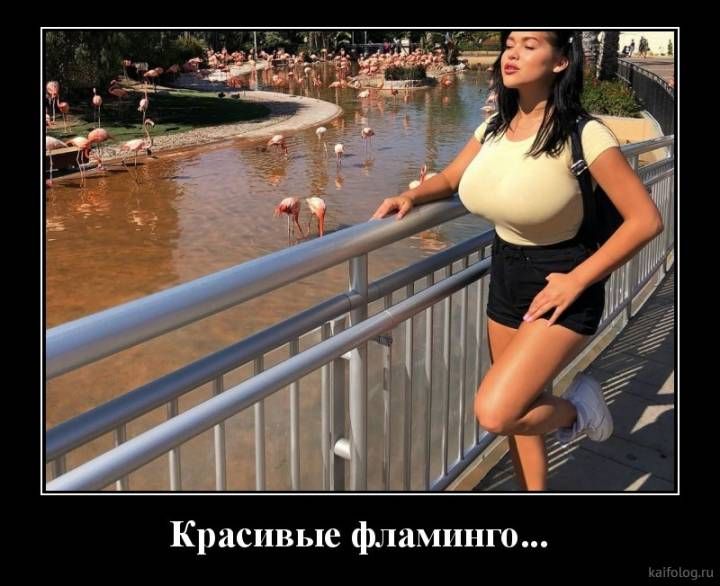 Демотиваторы про русских женщин (45 картинок) Демотиваторы про русских женщин (45 картинок)