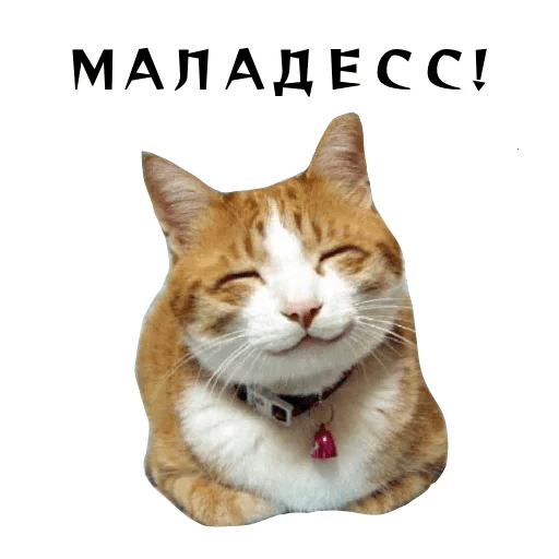 Набор стикеров для Telegram «Колкие фразы»