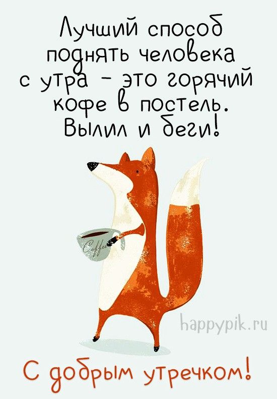Прикольные картинки Доброе утро 👍 😄 – скачать Прикольные картинки Доброе утро 👍 😄 – скачать
