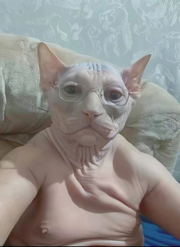 cat man