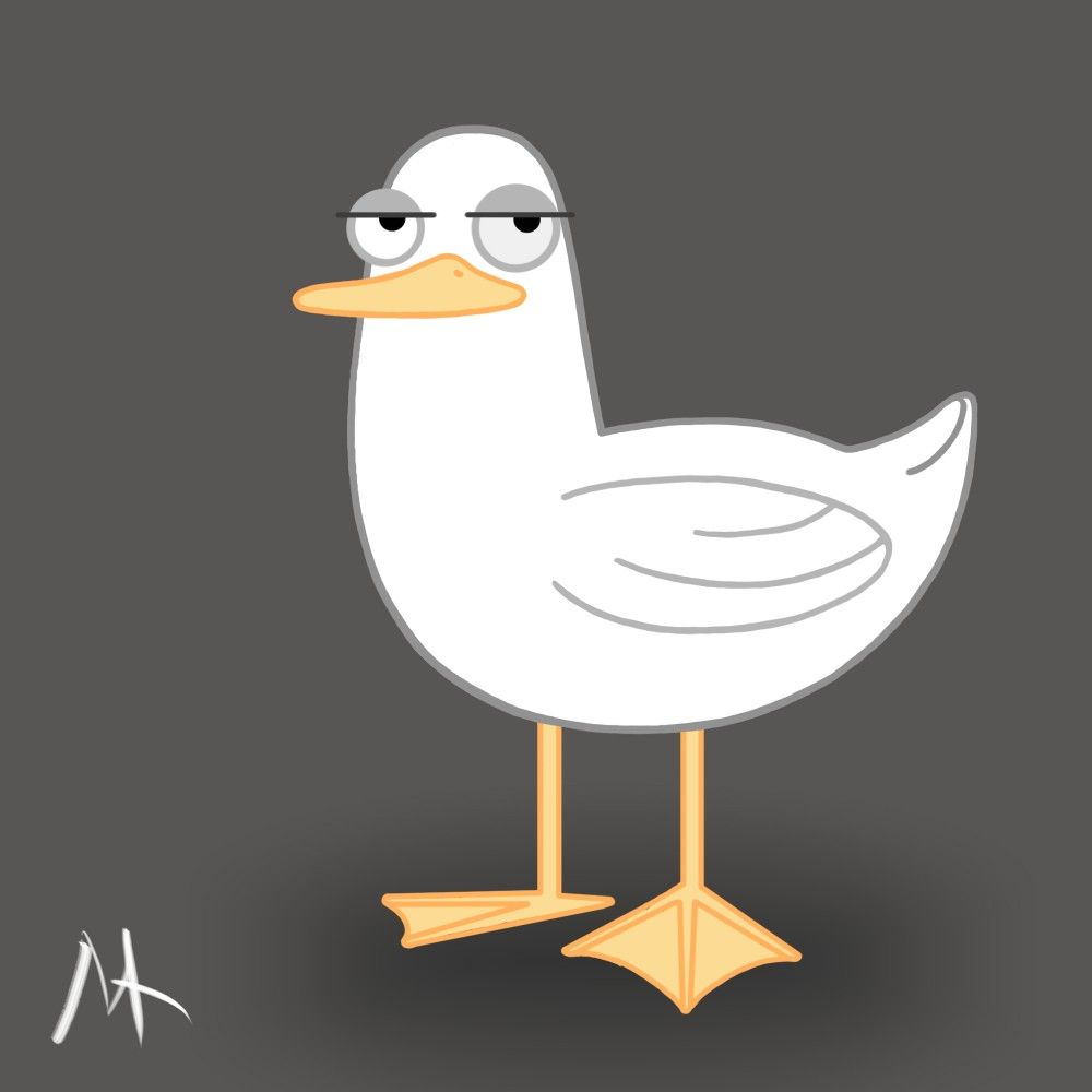 Steven Seagull Steven Seagull