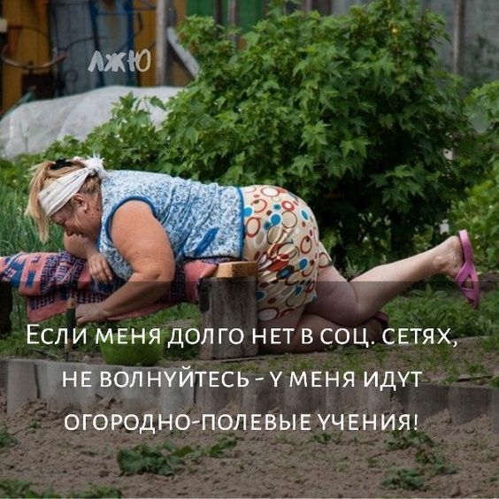 приколы юмор картинки39 приколы юмор картинки39