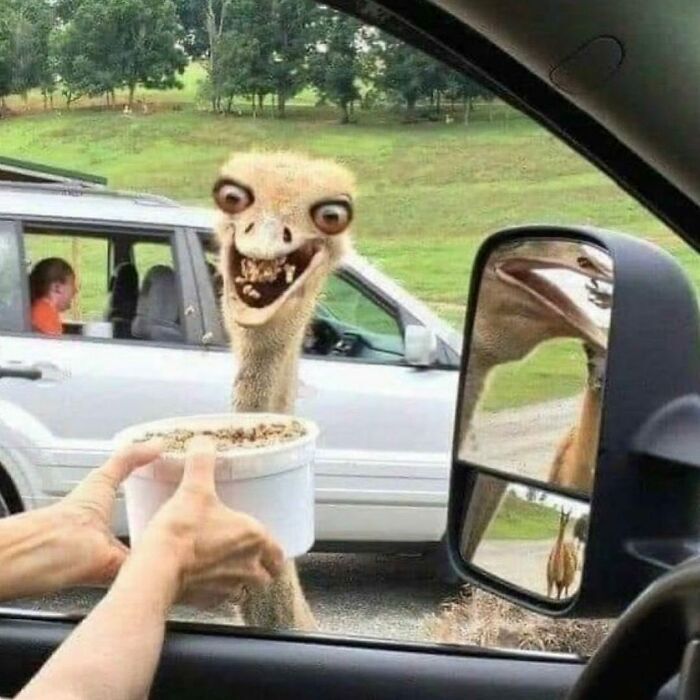 Weird-Daily-Cursed-Images Weird-Daily-Cursed-Images