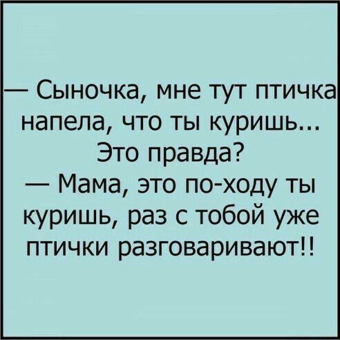 юмор очень смешно 434 юмор очень смешно 434