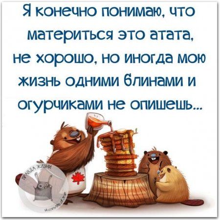 Нельзя принимать всё как есть, многое надо принимать как пить!) – РЖАКА – Медиаплатформа МирТесен Нельзя принимать всё как есть, многое надо принимать как пить!) – РЖАКА – Медиаплатформа МирТесен