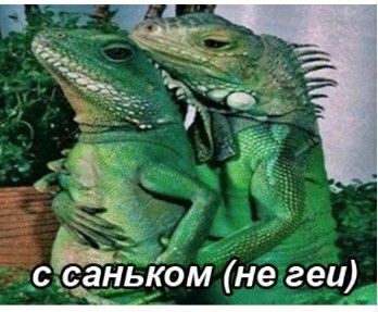 С саньком (не геи) С саньком (не геи)