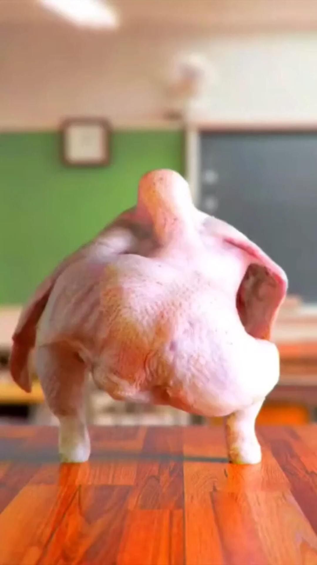 Chicken Dance π Chicken Dance π