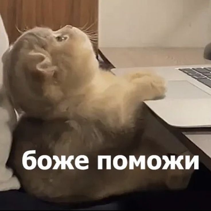 Пин от пользователя ÑÐ»Ð¸Ñ Ð±Ð°Ð±Ð¸Ð½Ð° на доске Mem в 2024 г | Мемы, Христианский юмор, Смешные…