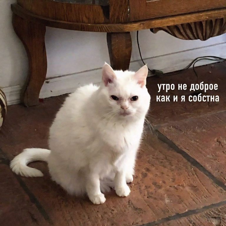 Доброе утро Доброе утро